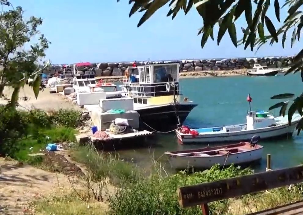 Geyikli to Gülpınar