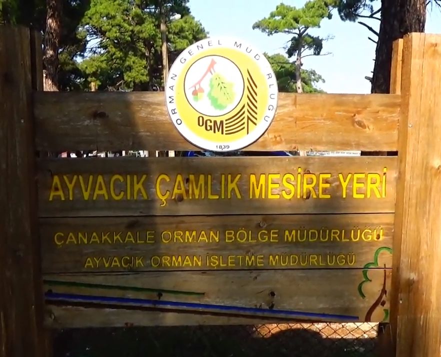 Ayvacık