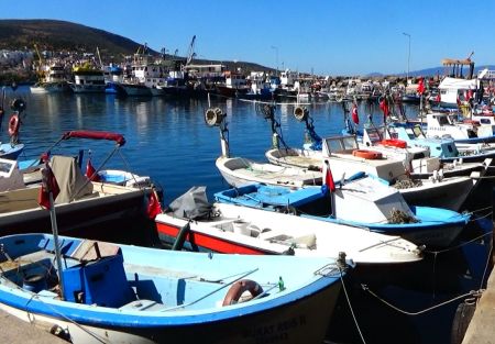 Denizköy, Bademli & Dikili